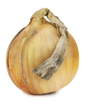 Real winter bulb of yellow onions macro isolated on white clipart