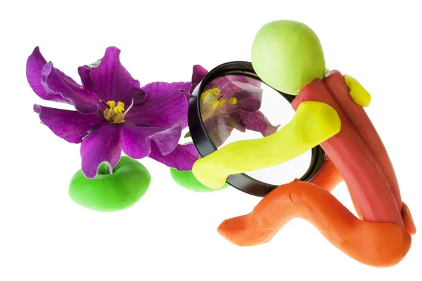Homenzinho Brinquedo Isolado Com Uma Lupa Estuda Flores Conceito Curiosidade — Fotografia de Stock