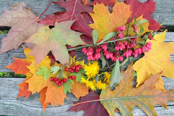 Folhas de outono em um banco — Fotografia de Stock