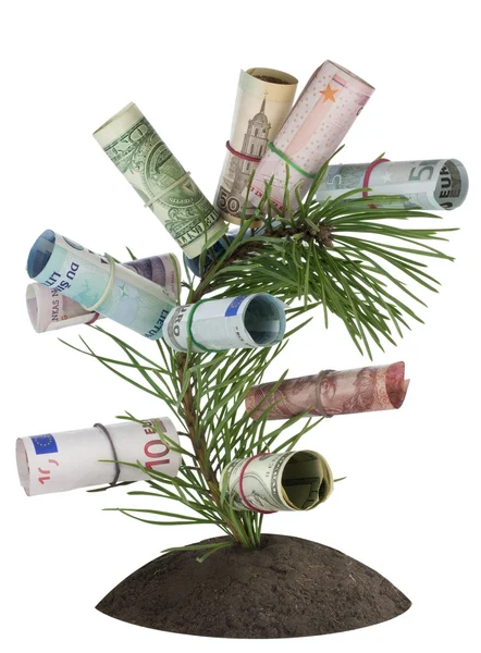 Monetary tree on bed — Stock Photo, Image