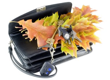 Lost keys and autumn leaves clipart