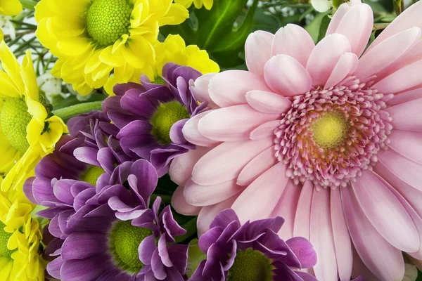 Весенние цветы для девушки — стоковое фото