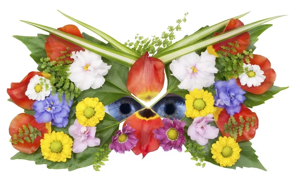 Maska a oči wild flower jaro — Stock fotografie