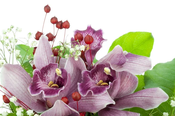 Orquídeas de um buquê de casamento — Fotografia de Stock