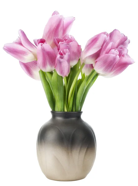 Primeros tulipanes rosados — Foto de Stock