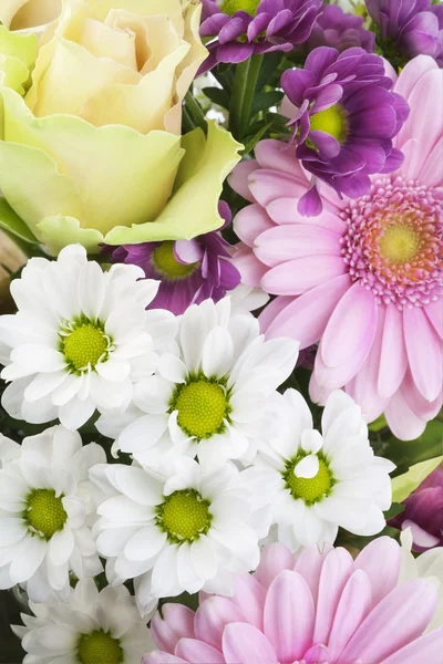 Blommor för flickvän — Stockfoto