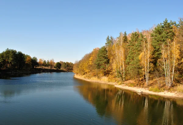 stock image River and trees