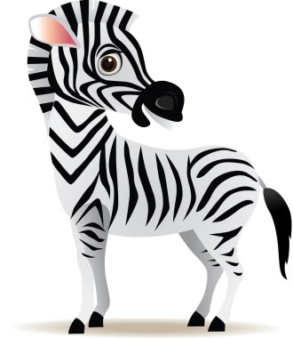 Zebra cartoon clipart