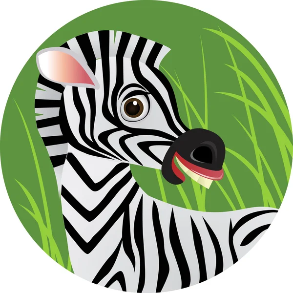 Cartone animato Zebra — Foto Stock