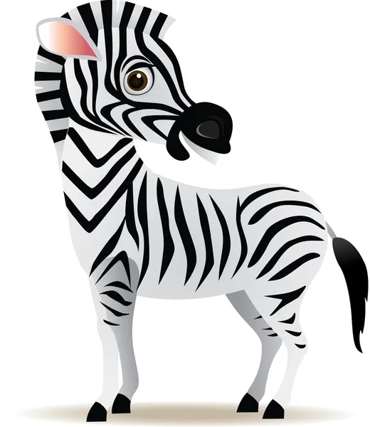 Zebra kreslený — Stock fotografie