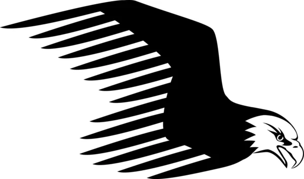Eagle illustration — Stock Vector