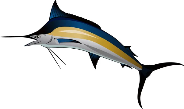 Marlin vis — Stockvector