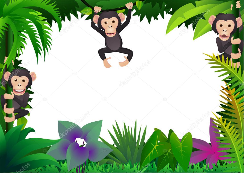 Cute chimp in the forest