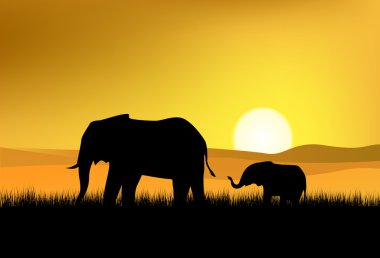 Elephant in wildlife Africa clipart