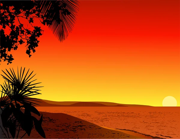 Tropisk strand bakgrund — Stock vektor