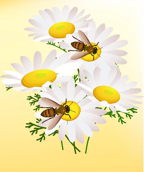 Vecteur d'abeilles — Image vectorielle