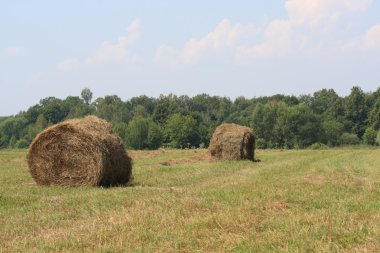 haystacks