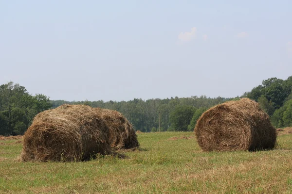 haystacks