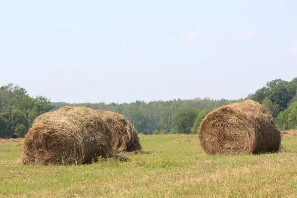 haystacks