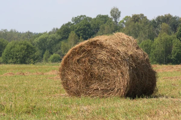 stock image Haystack