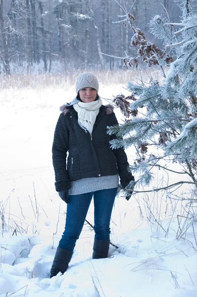 Chica disfrutando de paseo de invierno —  Fotos de Stock