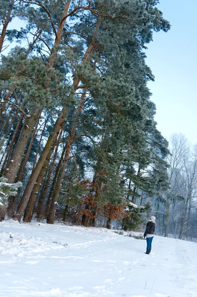 stock image Girl standing opposite the forest at winter