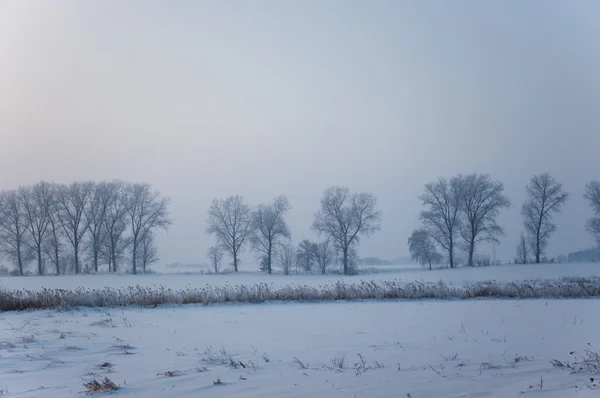 Obraz Pejzaż Zimowy — Zdjęcie stockowe