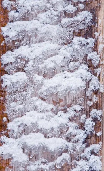 Buz ve kar, ahşap — Stok fotoğraf