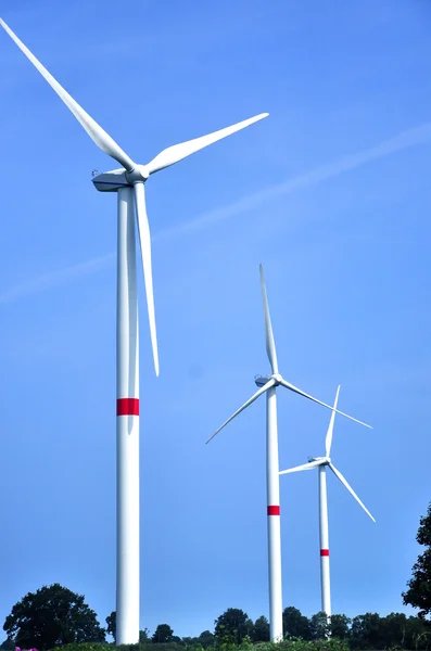 Wind turbine farm and wheat field — Stock Photo, Image