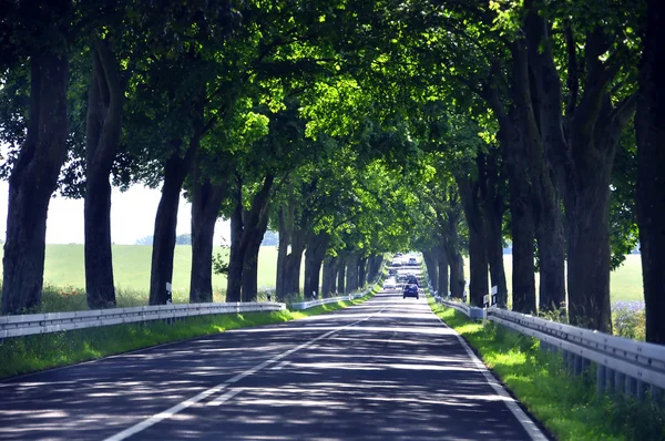 stock image Highway