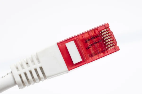 Computer Network Cable — Stock Photo, Image