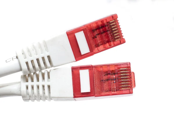 Cablu de rețea calculator — Fotografie, imagine de stoc