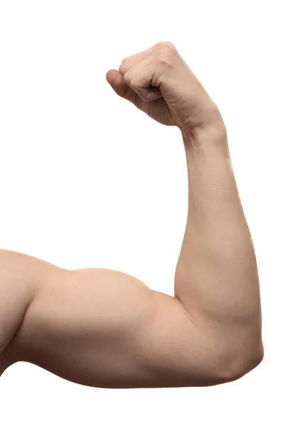 Stock image Athletic arm on white background