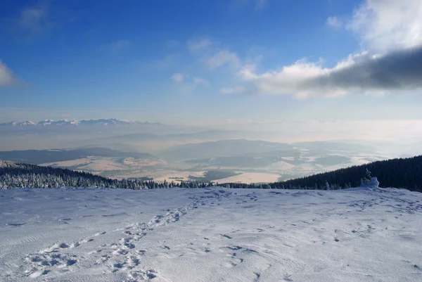 Górach w zimie — Zdjęcie stockowe