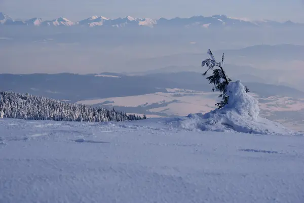 山在冬季 — 图库照片