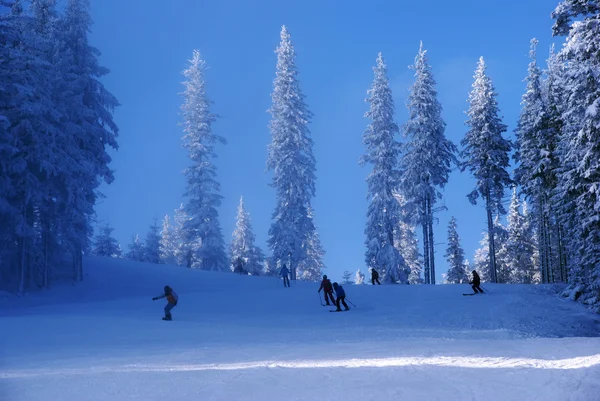 스키와 태양 — 스톡 사진