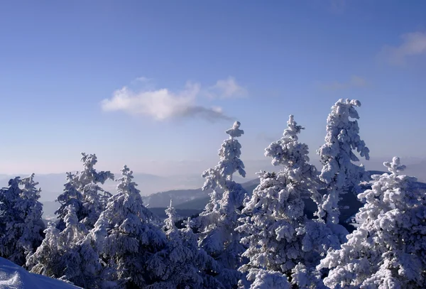在冬天 喀尔巴阡山 — 图库照片