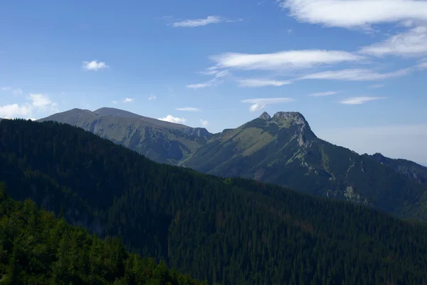Pico Polônia Tatras — Fotografia de Stock