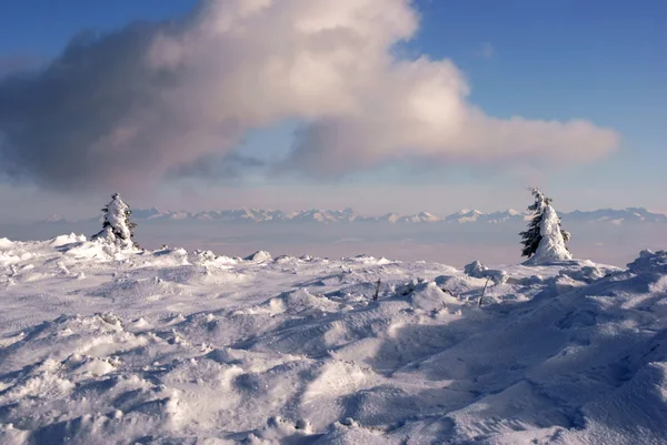 冬には ポーランド カルパティア山脈 — ストック写真