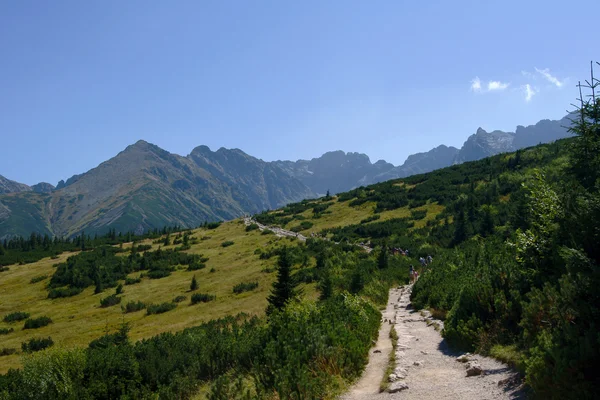 Trail Bergen Polen Tatras — Stockfoto