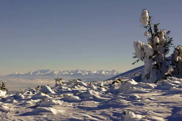 Berge Winter Polen Karpaten — Stockfoto