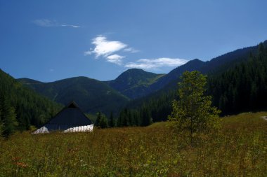 eski chalets