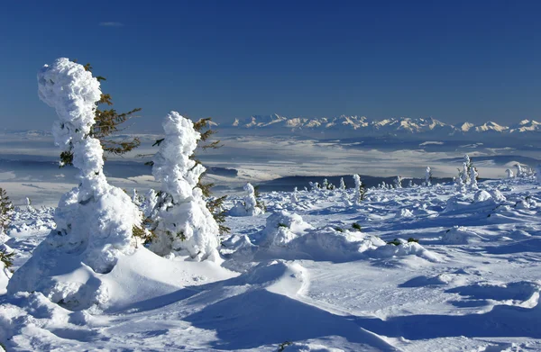 Montagnes en hiver — Photo