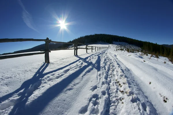 겨울에 풀밭, — 스톡 사진