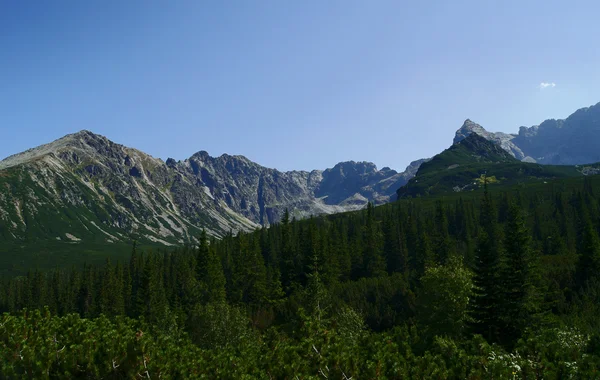 Topp, Tatrabergen — Stockfoto