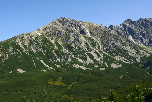 Tatras de pico — Fotografia de Stock