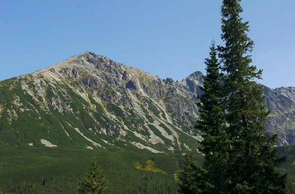 Peak Tatras — Stockfoto