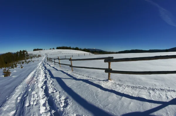 冬の牧草地 — ストック写真