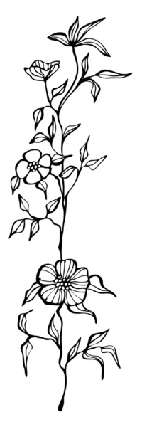 Ilustrované roztomilý květ jara design — Stock fotografie