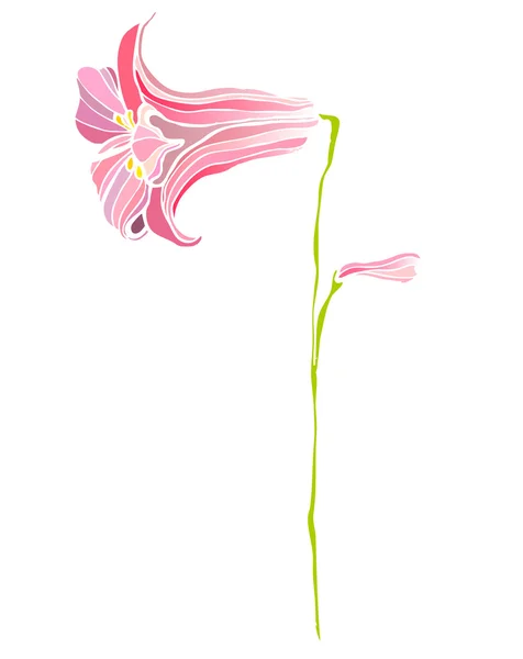 Flor linda ilustrada — Foto de Stock